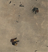 CPN_2124.jpg