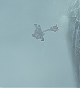CPN_343.jpg