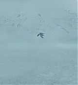 CPN_347.jpg