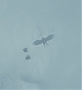 CPN_358.jpg