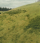 CPN_448.jpg