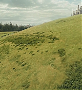 CPN_449.jpg