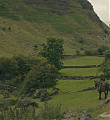 CPN_876.jpg