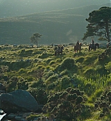 CPN_879.jpg