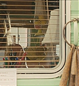 CPN_105.jpg