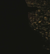 CPN_1121.jpg