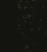 CPN_1122.jpg