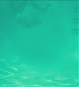 CPN_1184.jpg
