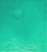 CPN_1185.jpg