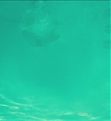 CPN_448.jpg