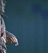 166.jpg
