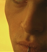 195.jpg
