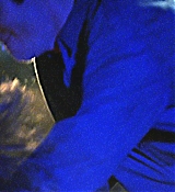262.jpg
