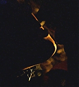 263.jpg