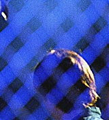266.jpg