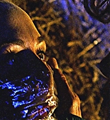 330.jpg