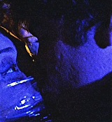 339.jpg
