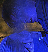 343.jpg