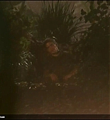 113.jpg