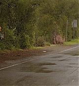 178.jpg