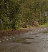 179.jpg