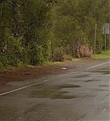 181.jpg