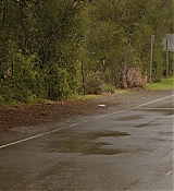 183.jpg