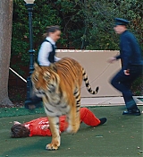 CPN-AngieTribeca310_073.jpg